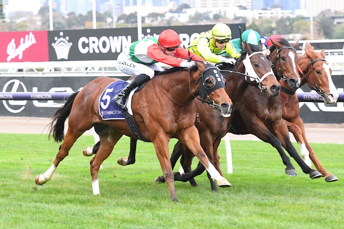 lindsayparkrace's tweet photo. What a day for Team Lindsay Park with 4️⃣ winners at HQ! 🙌🥳
🥇 Sneaky Sunrise
🥇 Crosshaven
🥇 Le Ferrari
🥇 Aztec State
Congrats to the owners of these talented horses 👏
Well done to our incredible team who work hard behind the scenes to make the magic happen on the day 💪✨🤩 https://t.co/SQEFHaR5ic