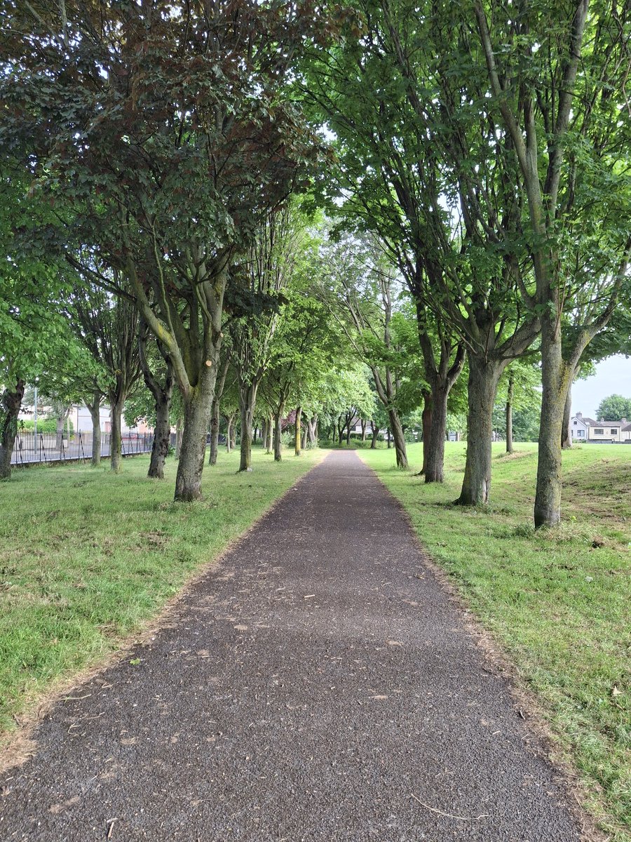 3, 2, 1, get up and call down for a 5k. Walk. Jog, crawl. 9.25am