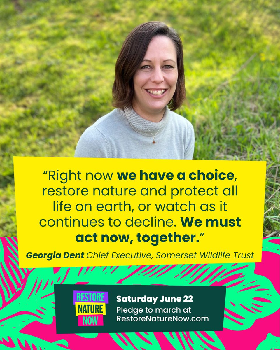 Today’s the day! 📢

We’re delighted to be joining over 300 organisations and thousands of people across the UK at the <a href="/RNNMarch/">Restore Nature Now</a> in London!

📺 Can't make it to the march today? Join in by watching the livestream: youtube.com/live/vqjSaJ9z9…

#RestoreNatureNow @wildlifetrusts