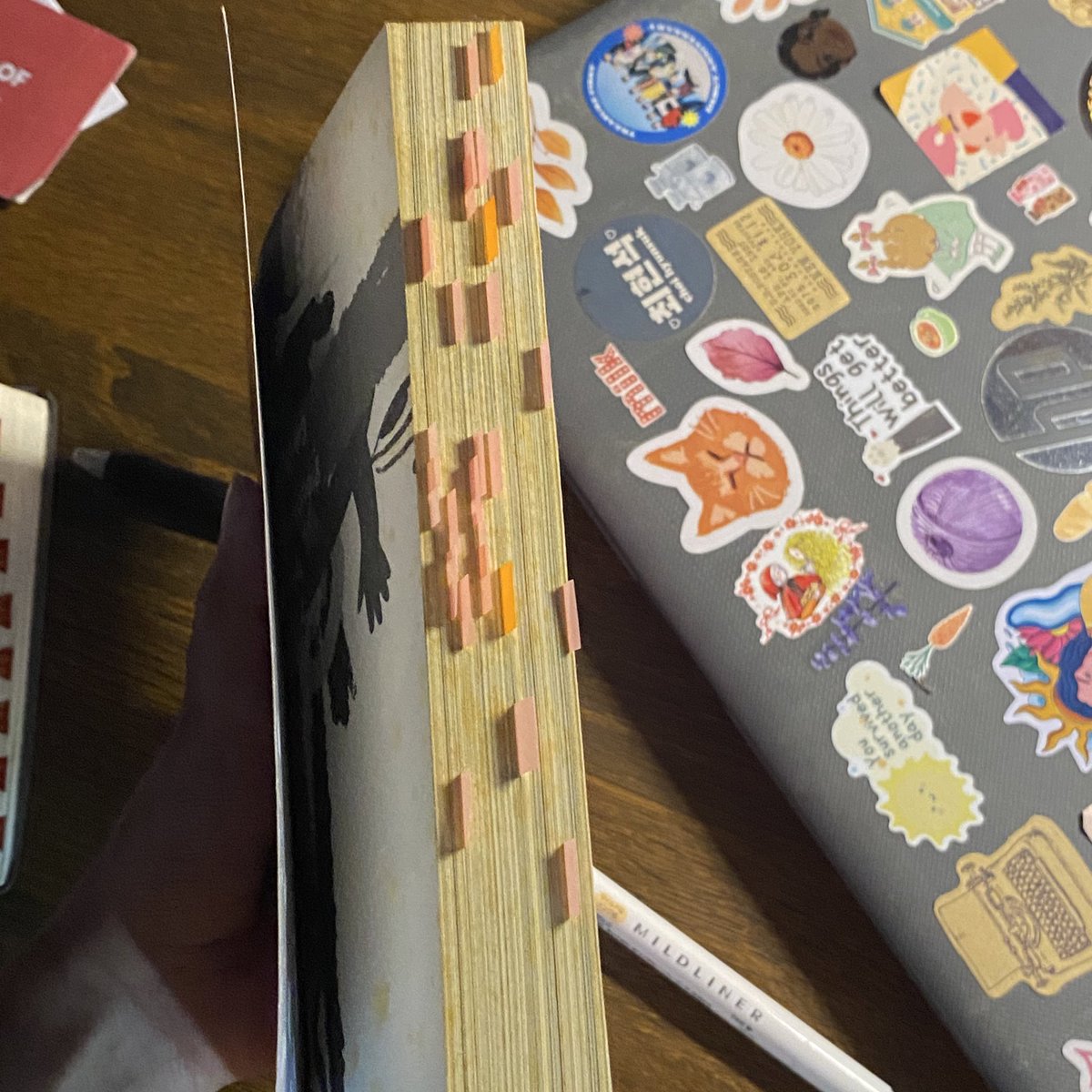 bookwormdaily's tweet image. how i use to annotate      vs          now