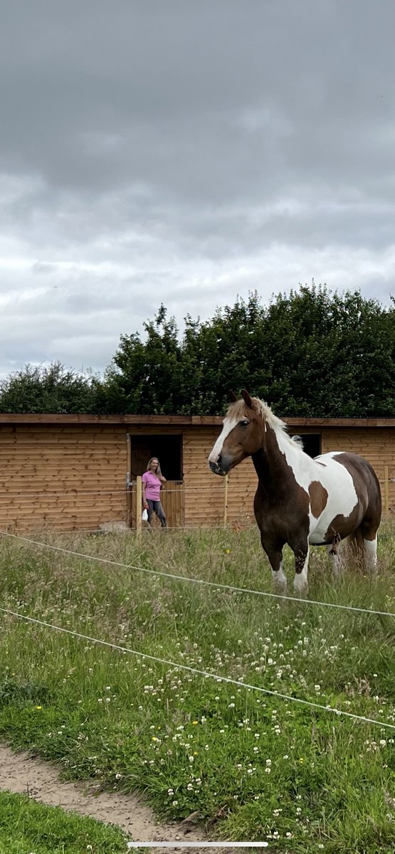 𝕾𝖙𝖚𝖆𝖗𝖙 𝕲𝖗𝖊𝖊𝖓 tweet media