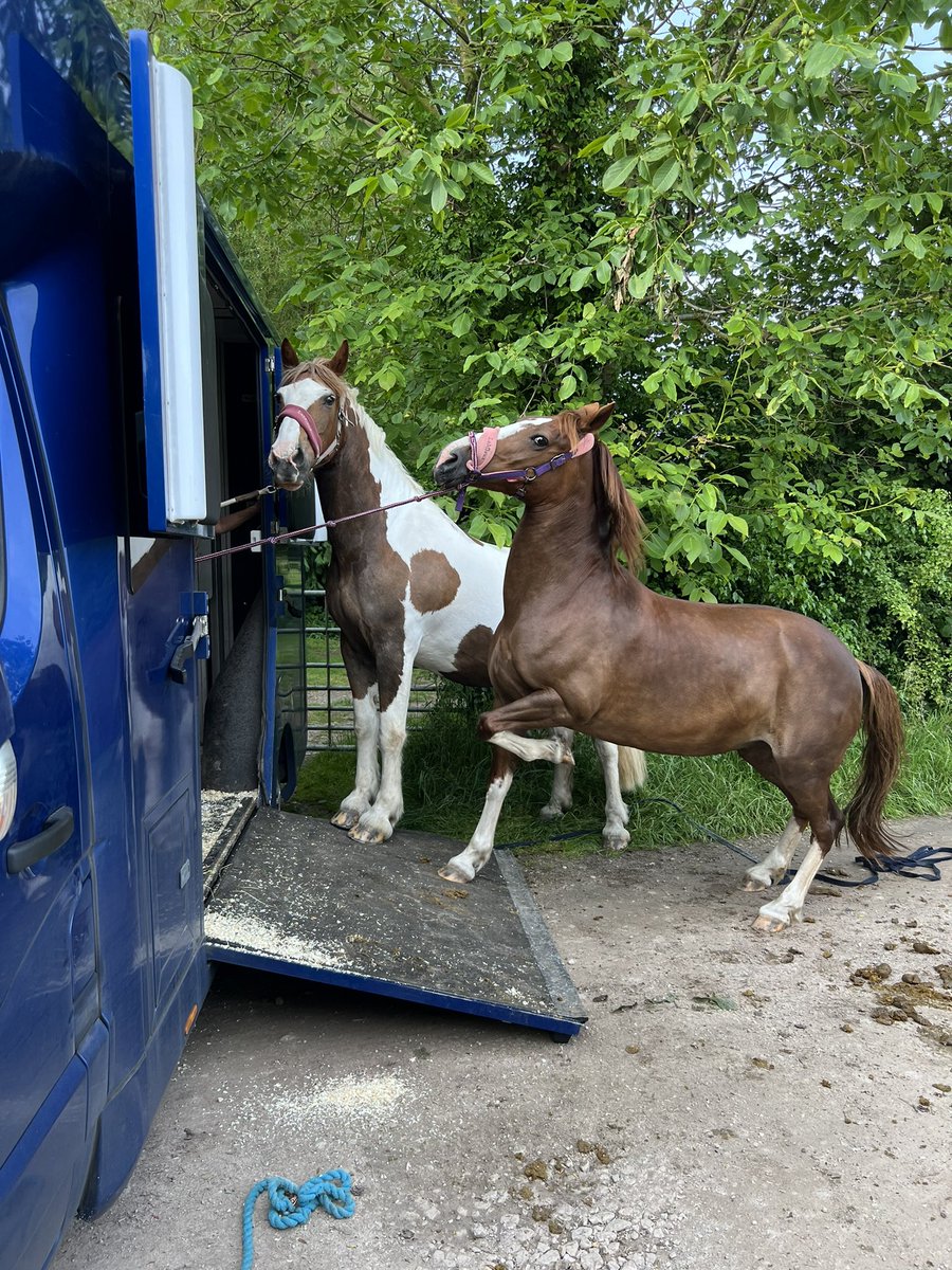 𝕾𝖙𝖚𝖆𝖗𝖙 𝕲𝖗𝖊𝖊𝖓 tweet media