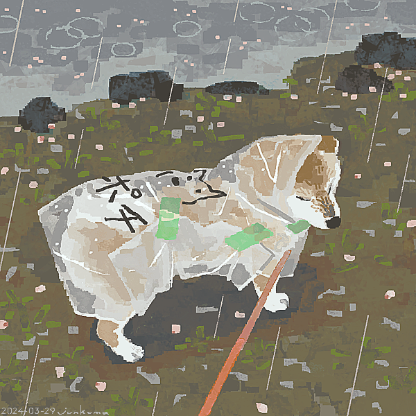 junkuma (@j_kmor) on Twitter photo 