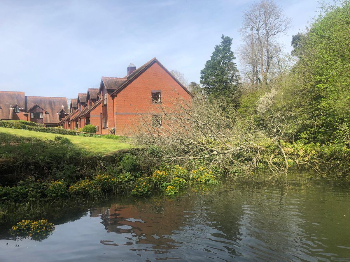 hambleharbour's tweet photo. We’ve been advised that the trees blocking the River near Botley will be removed by the landowner’s contractors within the next three weeks.  In the mean time, access to the River upstream of the trees remains blocked. https://t.co/2wif76iyoG
