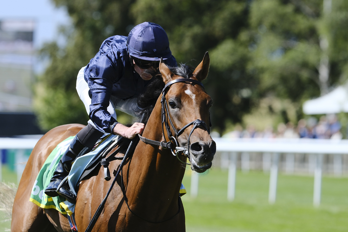 Newmarket Racecourse tweet media