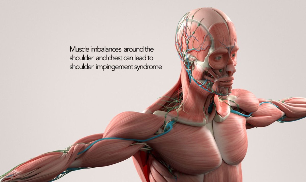 The exercises on this leaflet can help.  app.co-kinetic.com/success-page/a…