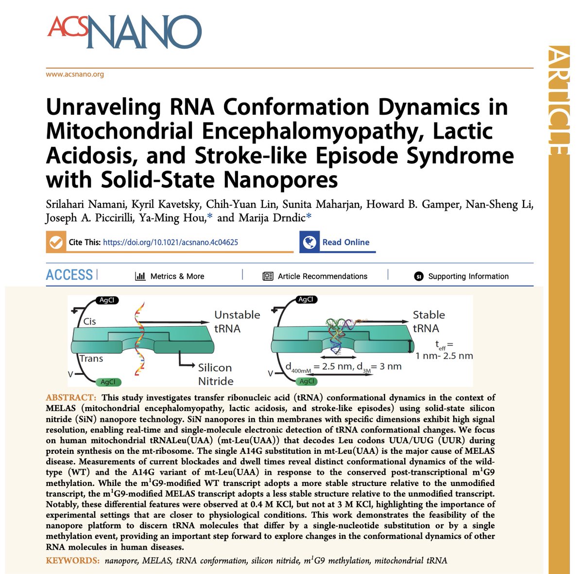 .... exploring changes in the conformational dynamics of RNA molecules in human diseases... 

"Unraveling RNA Conformation Dynamics in Mitochondrial Encephalomyopathy, Lactic Acidosis, and Stroke-like Episode Syndrome with Solid-State Nanopores"  pubs.acs.org/doi/full/10.10…