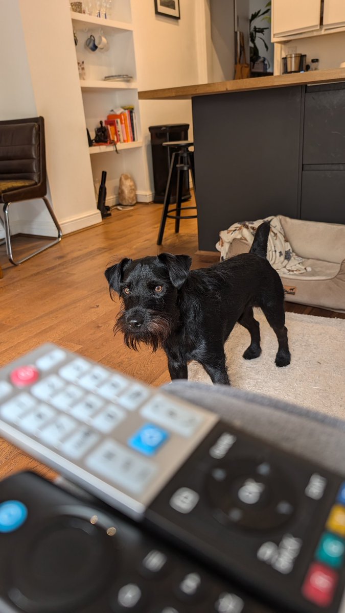 Alex Micu Bluesky tweet media