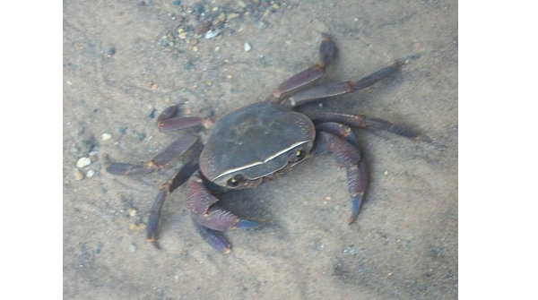 Bantu Languages tweet media