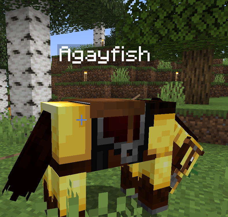 Aquayshis tweet media