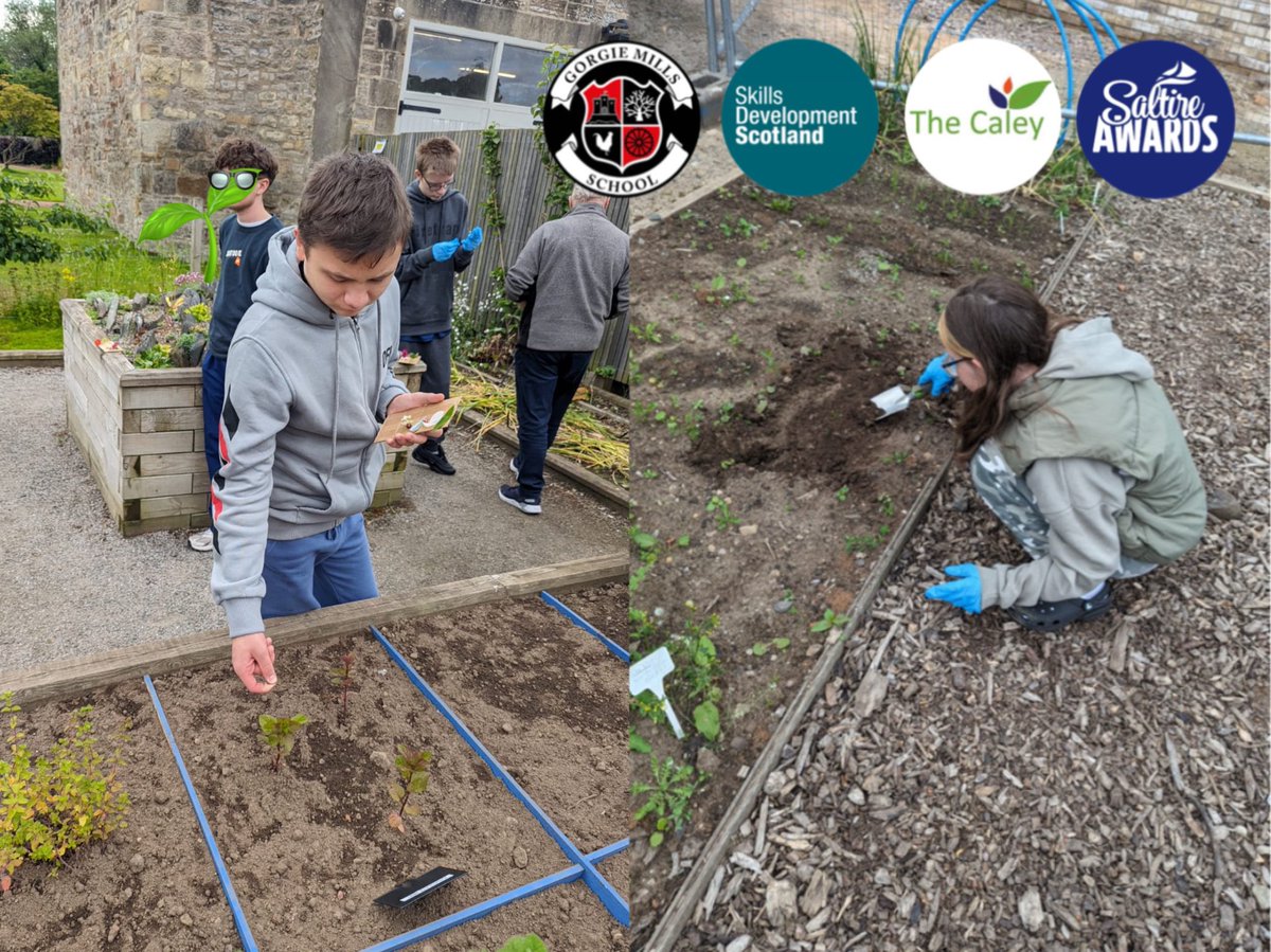 Gorgie Mills High School tweet media