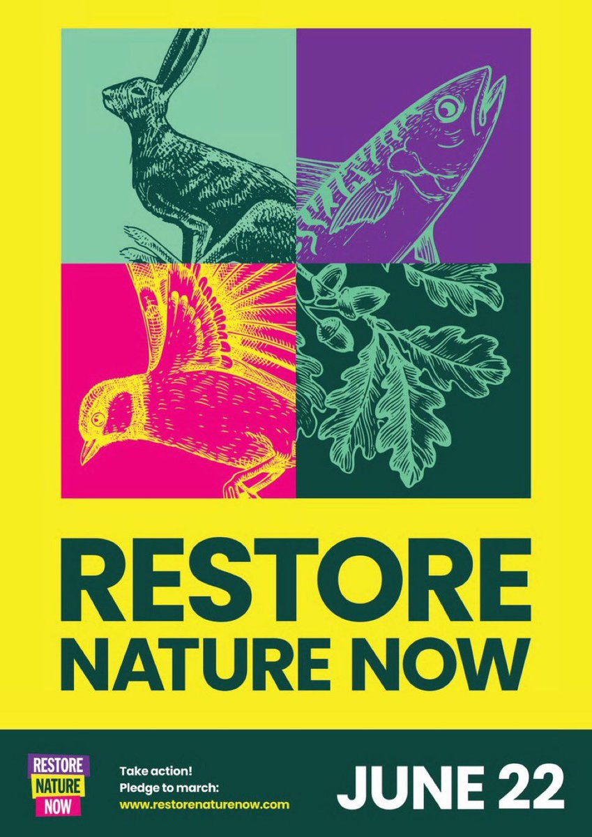 Britain is one of the most nature-depleted countries in the world. This stuff isn’t ‘nice if you can afford it’, it’s essential to the survival of our species.  

Very pleased to see big organisations like the RSPB and @NationalTrust on today’s march to #RestoreNatureNow.