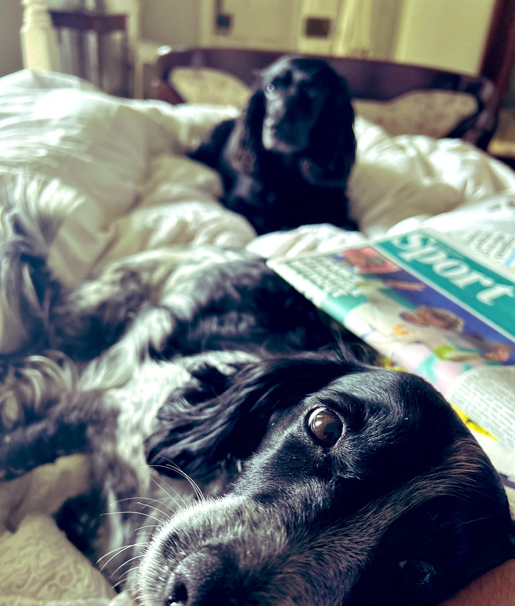 Victoria Derbyshire tweet media