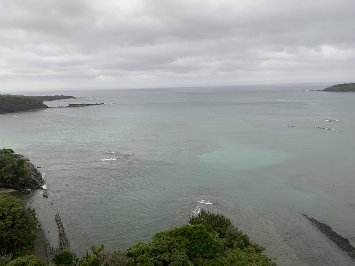 春、夏シーズンでは最後のマラソンとなる国境マラソンin対馬🏃‍➡️
福岡からの飛行機が朝は欠航になっていて、本当に辿り着くのか心配しましたが、無事到着🛬良かった☺️
悪天候ですが雄大な自然と島特有の風に感激です✨
初めての場所はいつもワクワクしますね
ランナーの皆様、笑顔で楽しみましょう