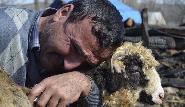 İnsanın Ciğeri yanar mı?
#Diyarbakır
#DiyarbakırMardin