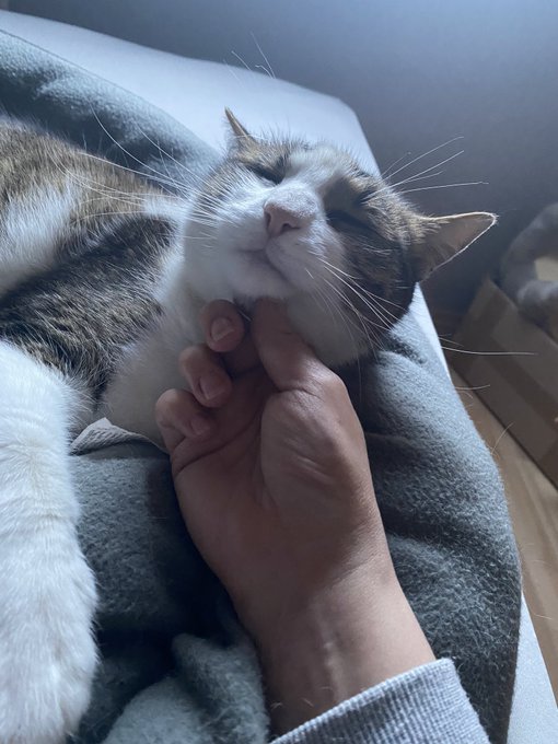 The mood swings 🙄😂❤️ https://t.co/ZkUHoW6fHU<a href="/tag/omg"class="tags"><span>&#35;omg</span></a><a href="/tag/cummingsoon"class="tags"><span>&#35;cummingsoon</span></a>