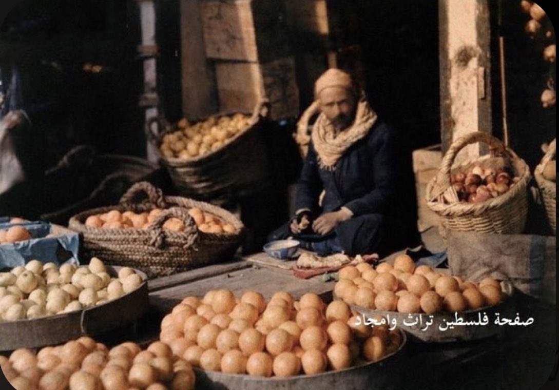 yaffa's oranges in palestine.