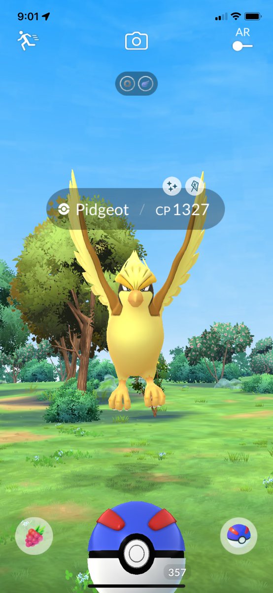The shiny luck is on one today! Pidgeot was my first encounter of the day