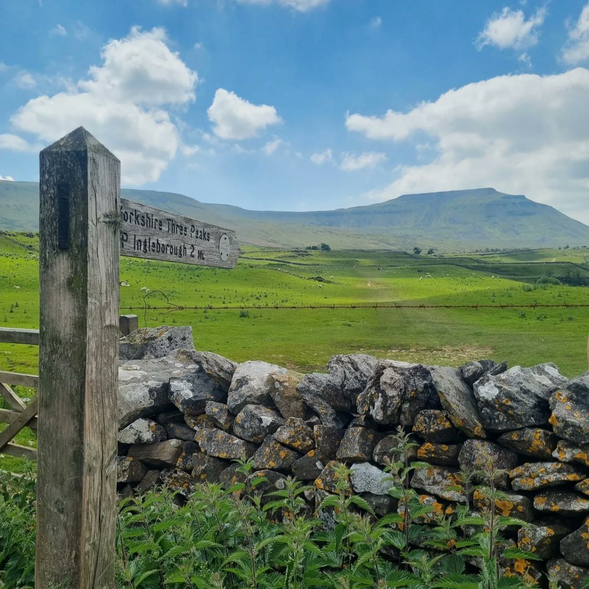 Yorkshire 3 peaks...Completed it mate ✅️ ⛰️⛰️⛰️
