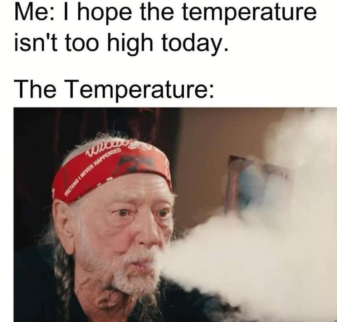 🍃💨Weeders💨🍃 tweet media