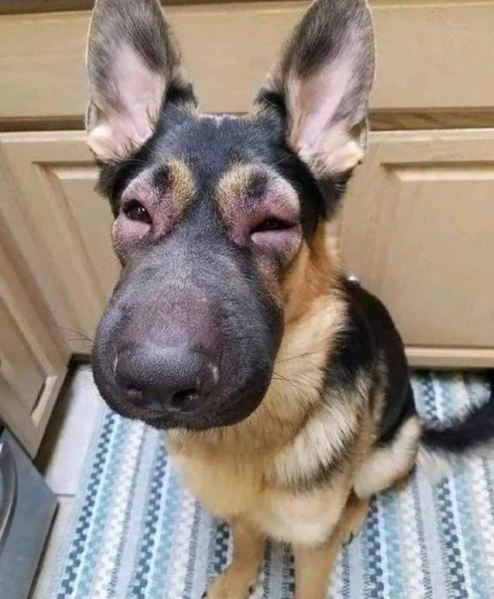 Yo después de decir que no estaba llorando