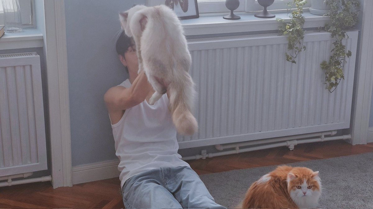 BeautyMouthsy's tweet image. ขอแชร์ความรู้สึกที่ได้พาลูกแมวไปทำงานกับซุปตาร์ระดับโลกอย่าง #MarkTuan นะทุกคน ตอนทีมงานติดต่อมาขอน้องโซดา แมวบริทิชสีส้มของเราถ่ายโฆษณา  เจ๊เกร็งมากเพราะโซดาตื่นคน  เลยพารามูเนะ กับเกนกิ น้องแมวไซบีเรียนสีขาวไปด้วย เรากังวลมากว่าจะทำตัวยังไง 
#The1xMarkTuan