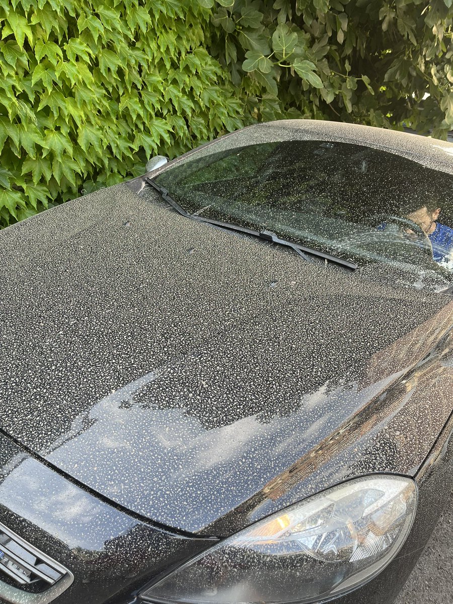 Labikinnna's tweet photo. Oigan estoy en shock porque van 2 semanas que no deja de llover arena jajaja esta muy raro este pedo. 
Ayer llegando al trabajo empezó a llover y yo iba de blanco y pues llegué con mis manchitas cafés, muy raro esto😂 https://t.co/u75BQT0OyS