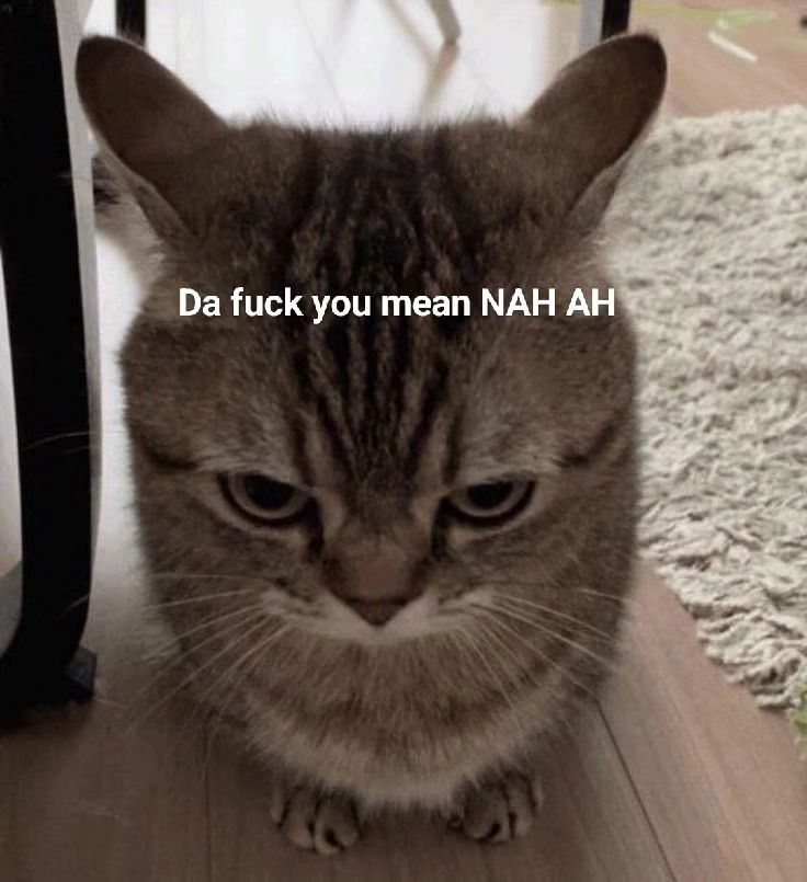 PunchingCat tweet picture