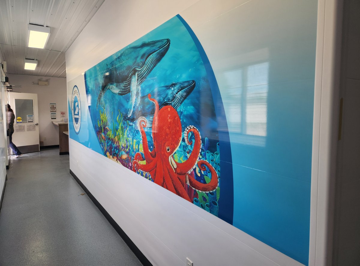 ProimageSigns1's tweet image. I always enjoy the unique projects. We designed, printed, and installed these eye-popping graphics, brightening up the walls and adding some fun!  #wallwraps