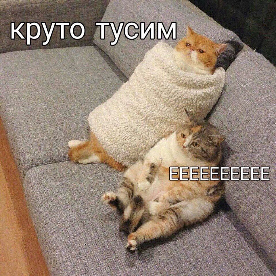 Дуже злий Віль. tweet media