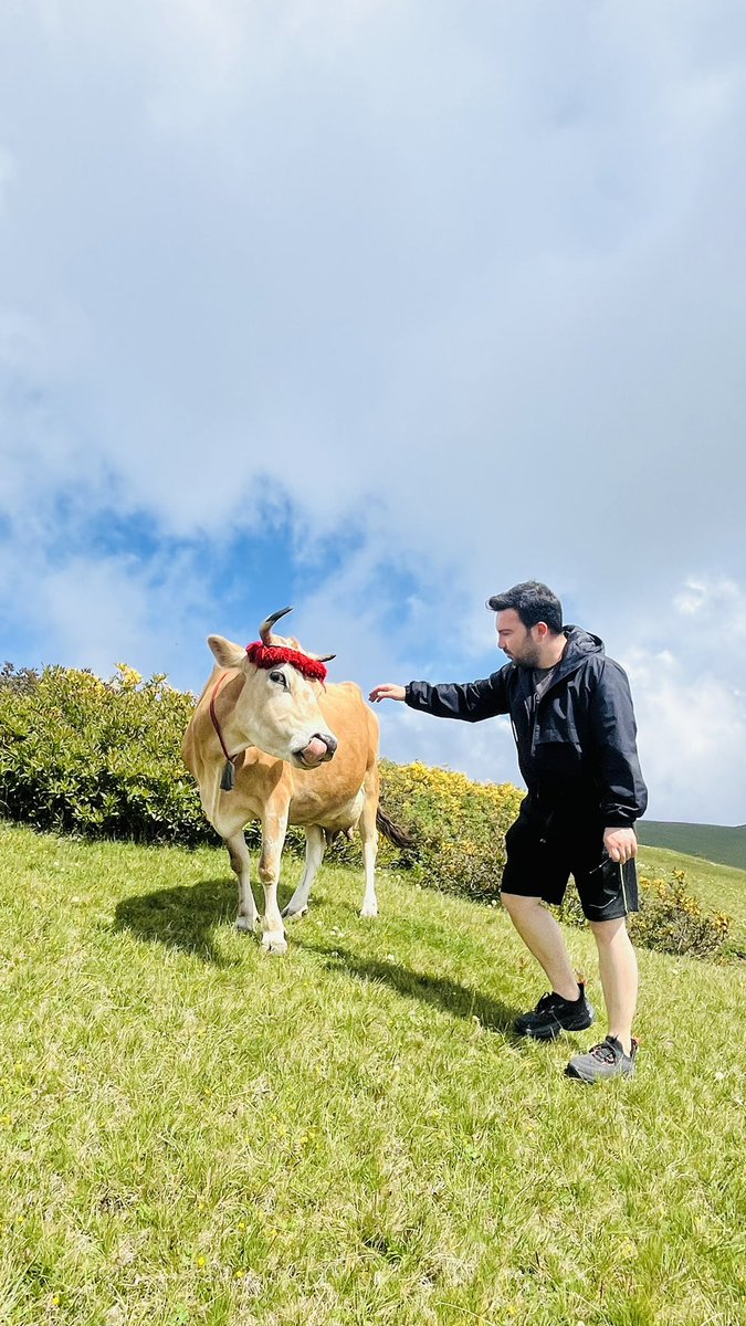 Sosyal çalışmacı ve yayla ineği uyumu diye bir şey var 🐮😅