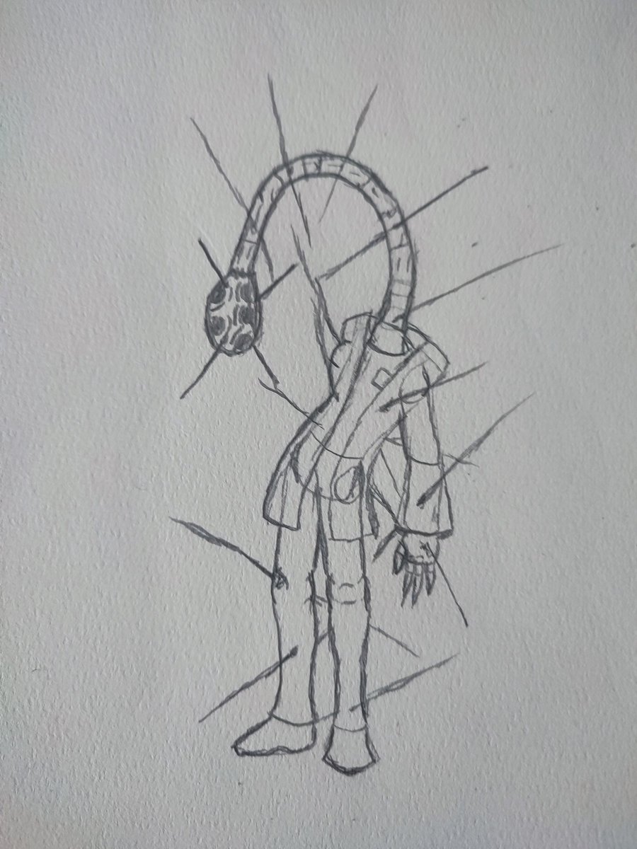 Packjack1 tweet media