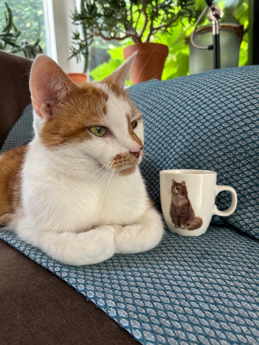 Trots op mijn eigen kopje !