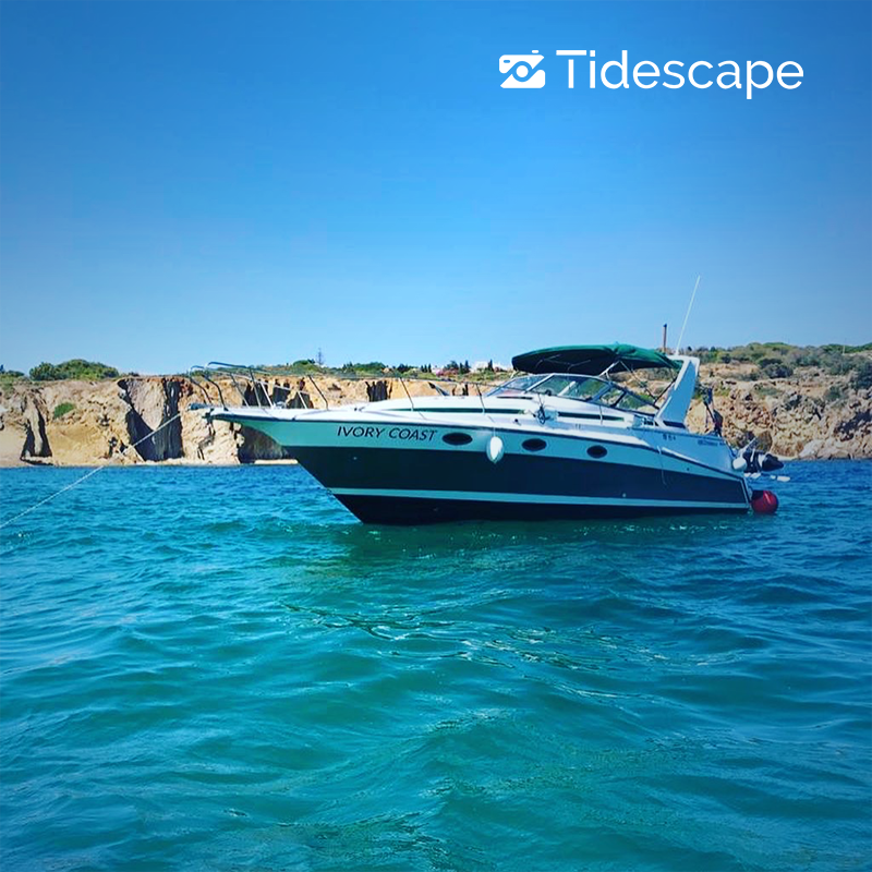 Tidescape - Exclusive Moments tweet media
