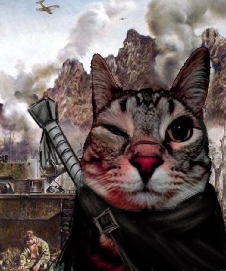 akistrike's tweet image. My experience in Elden Ring's DLC so far