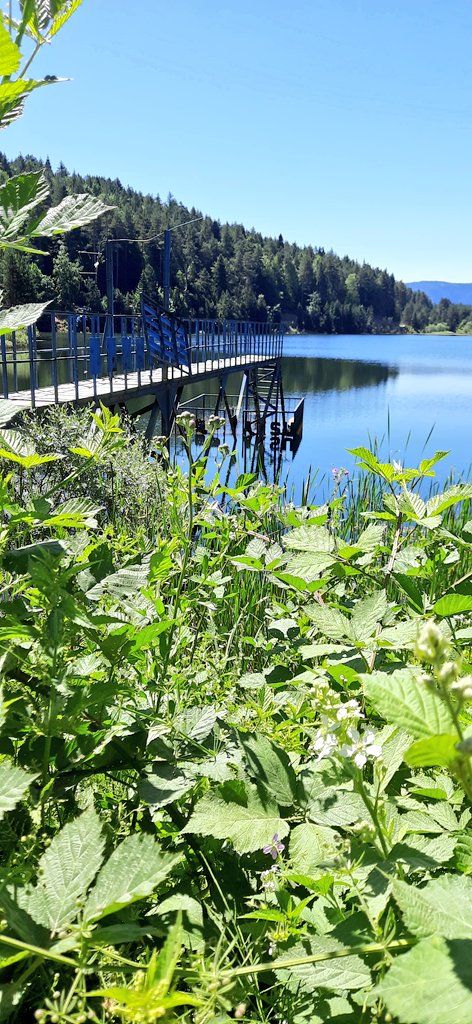 Mavinin yeşille buluşması😍