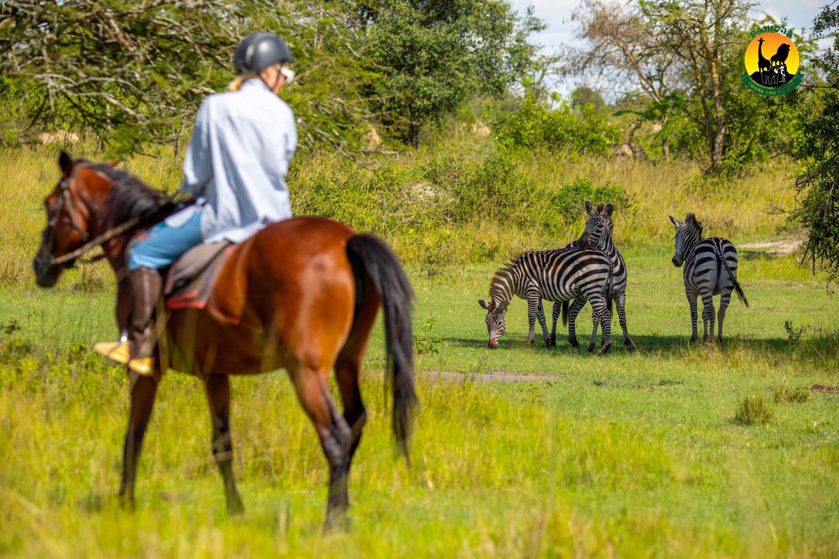 The breathtaking landscapes and close-up wildlife encounters made for a truly magical adventure.

Plan your safari today and create your own incredible memories!

#WildlifeSafari #LakeMburo #HorseRidingSafari #TravelAdventure #NatureLovers #ZebraSpotting #SafariExperience