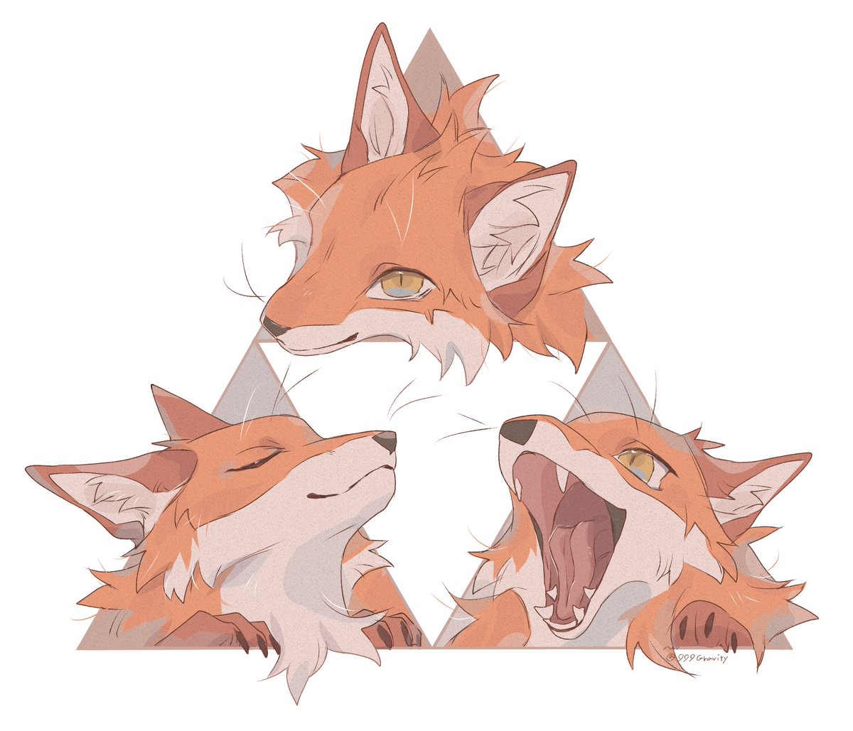 🦊🦊🦊