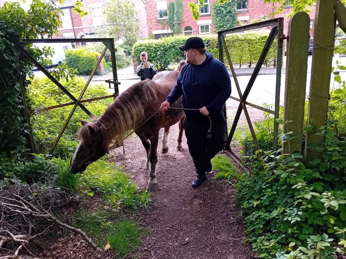 Horse grooming, a picnic and hot chocolate! Our incredible young people and staff enjoyed a trip out for some pet therapy, we had a lovely afternoon with lovely company and some great laughs. 
#Mental health #Birchwood #pettherapy #Laughter @Skem First @Skem News <a href="/Westlancsbc/">West Lancashire Borough Council</a>