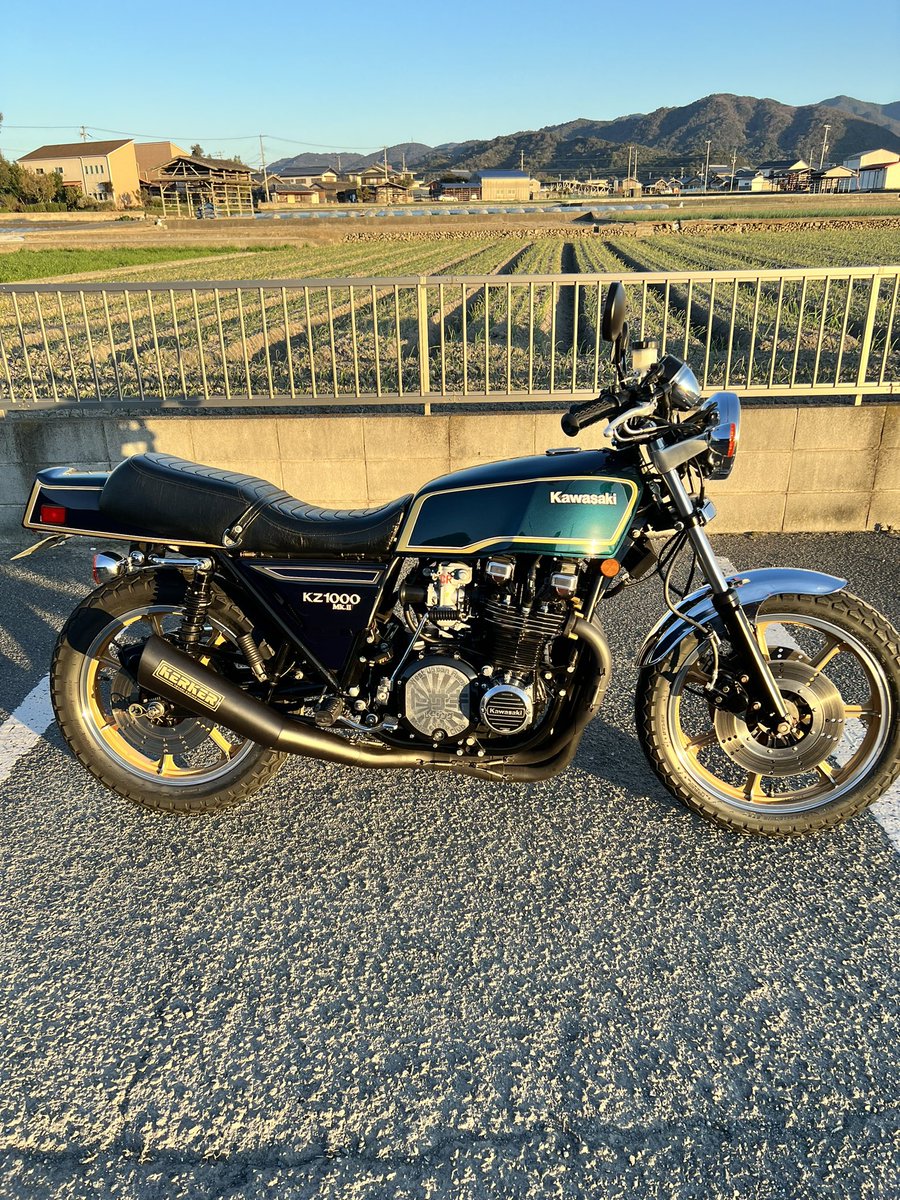 ゆっきゃん ﾄｻｷﾚｰｼﾝｸﾞ on X