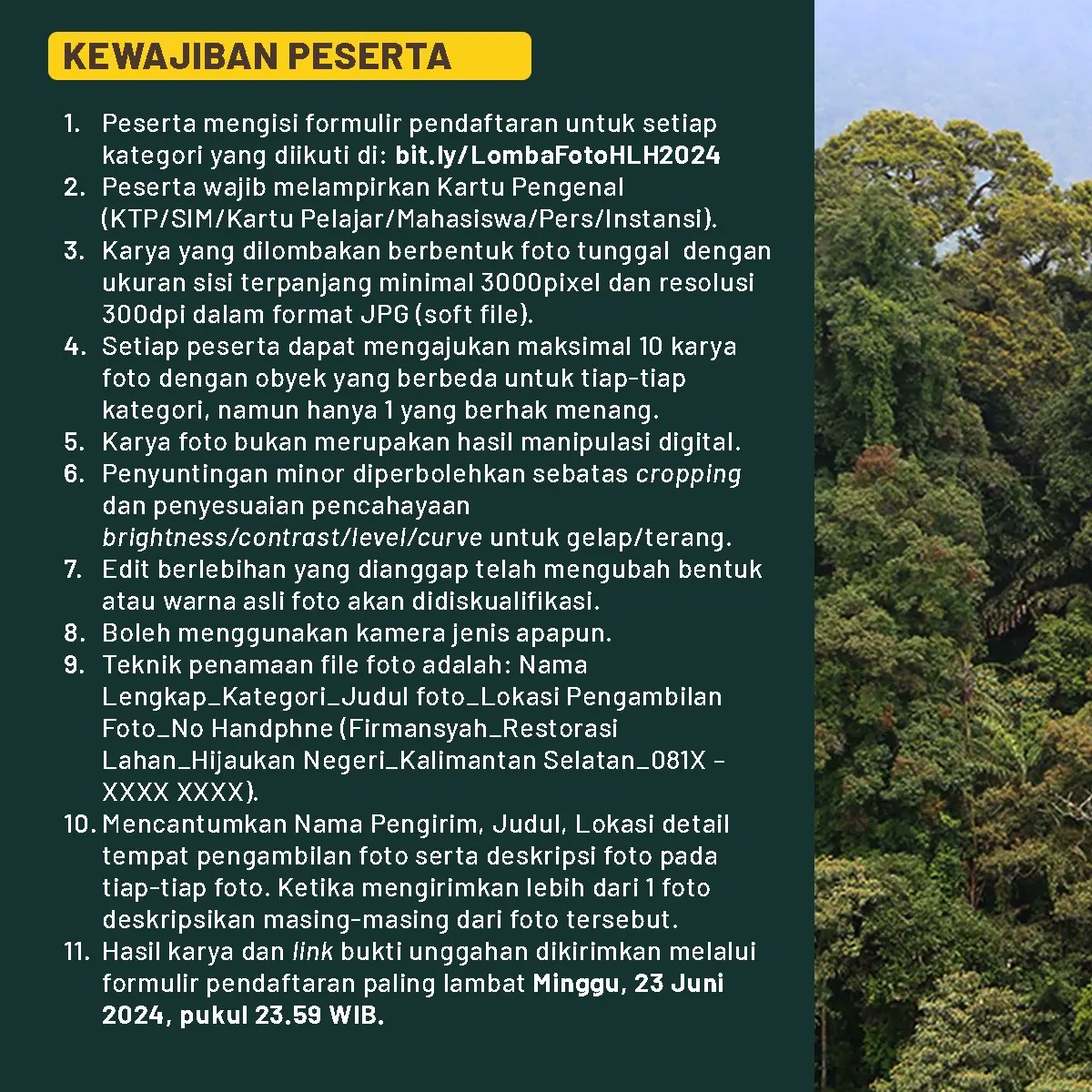 Dari Balik Lensa tweet media