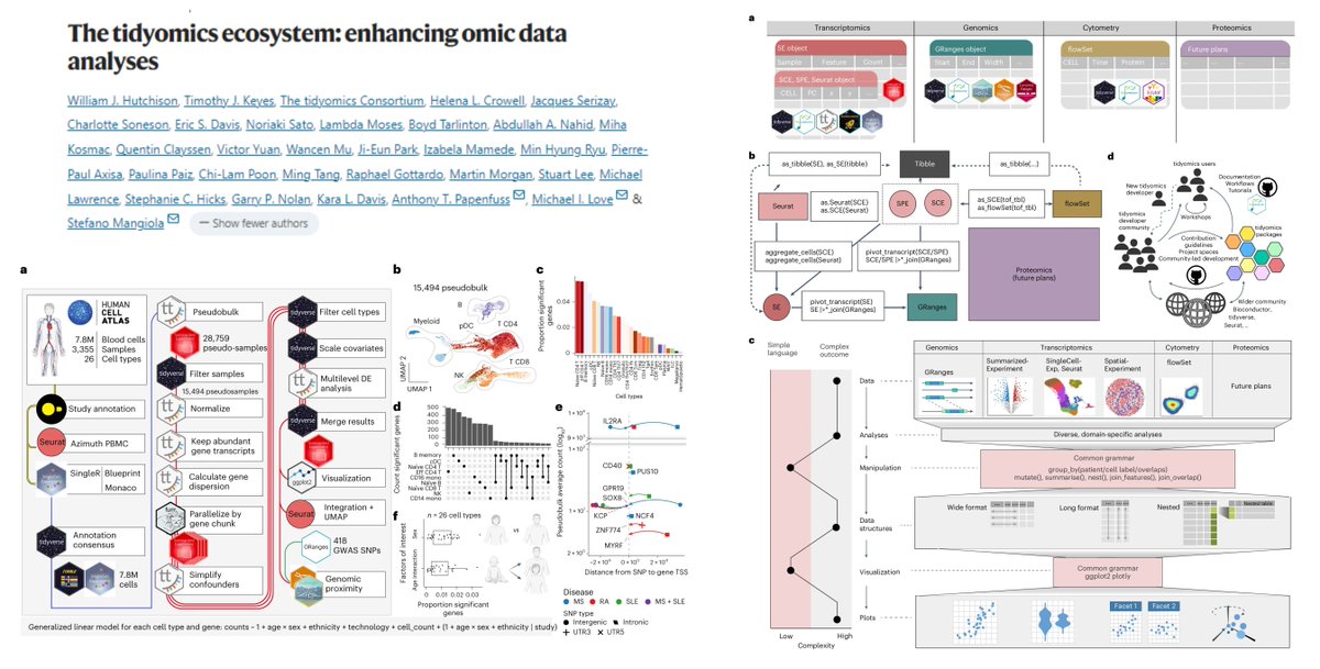 #TidyOmics

Harmonizing different omics packages with a common R syntax/grammar

tidySpatialExperiment "provides specialized operations such as gating based on geometric &amp; hand-drawn shapes"😍

<a href="/hutchisonwj0/">William Hutchison</a> <a href="/timothykeyes/">Timothée Keyes, PhD</a> <a href="/TonyPapenfuss/">Prof Tony Papenfuss</a> <a href="/mikelove/">Michael Love</a> <a href="/steman_research/">Stefano Mangiola</a> <a href="/naturemethods/">Nature Methods</a>