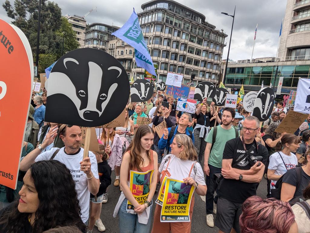 We need political parties to prioritise nature &amp; reverse the decline of ecosystems (which underpin all life)  #RestoreNatureNow #Election2024