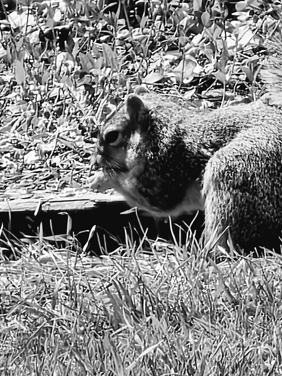 View from my Office tweet media