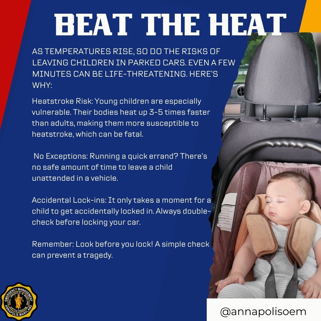 Important reminder: never leave a child in a hot vehicle! Always check the  back seat before locking your car. Place an essential item next to your child's  car seat as a reminder., image size:1080x1080