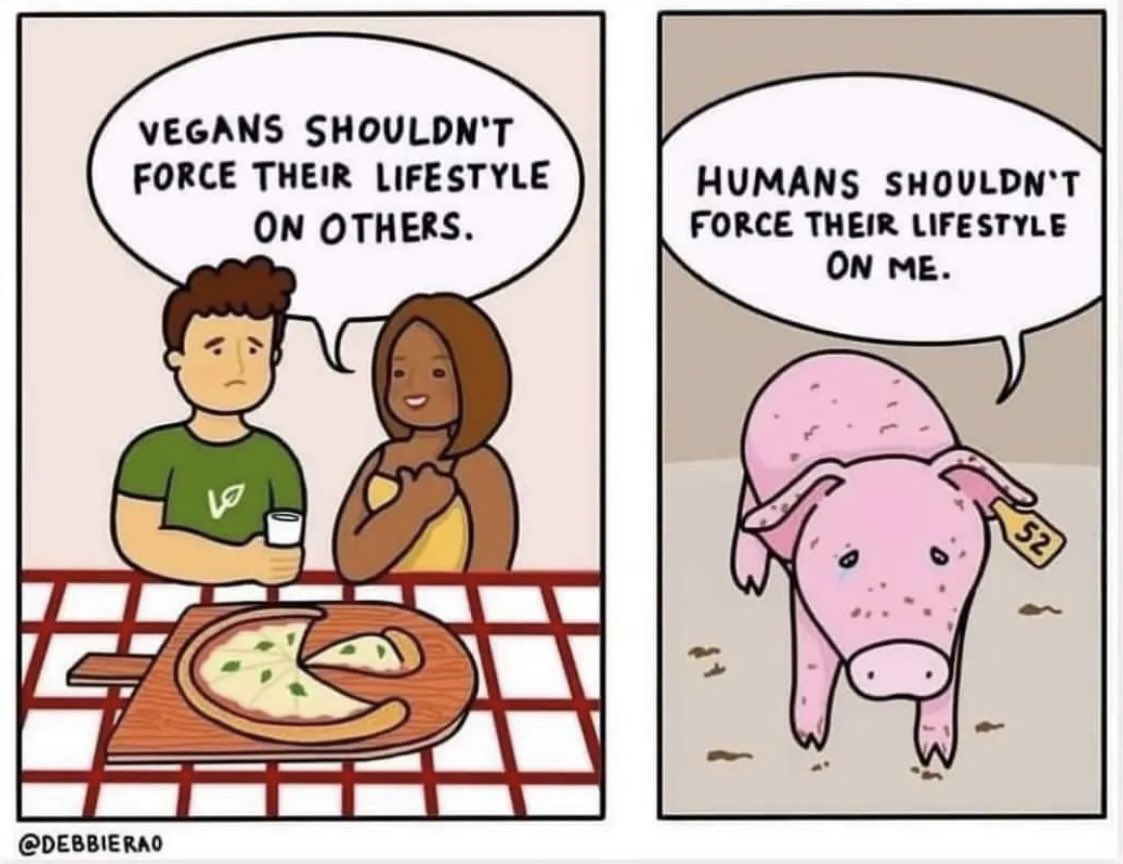 🌱🌱VeganSue 🌱🌱 (@seery_sue) on Twitter photo 