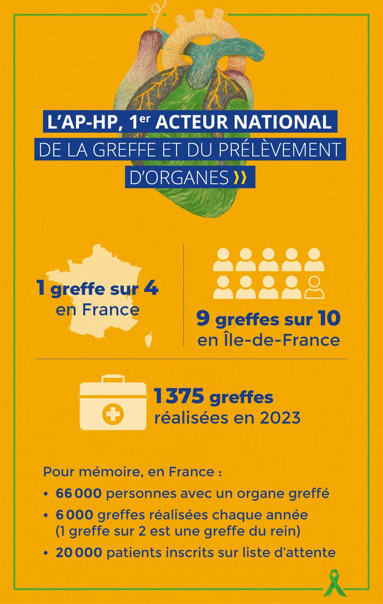 Avec 1 375 #greffes en 2023, l’AP-HP est le 1er acteur national de la greffe et du prélèvement d’organes, nos professionnels et établissements sont mobilisés au quotidien dans la prise en charge et l’accompagnement des patients et de leurs familles dans leurs parcours de greffe.