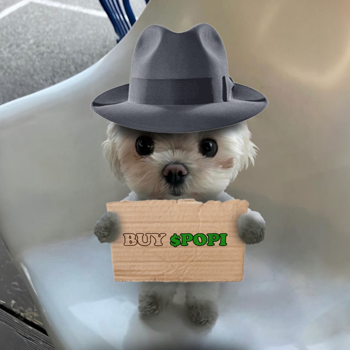 Tim_lwd ♓ tweet media