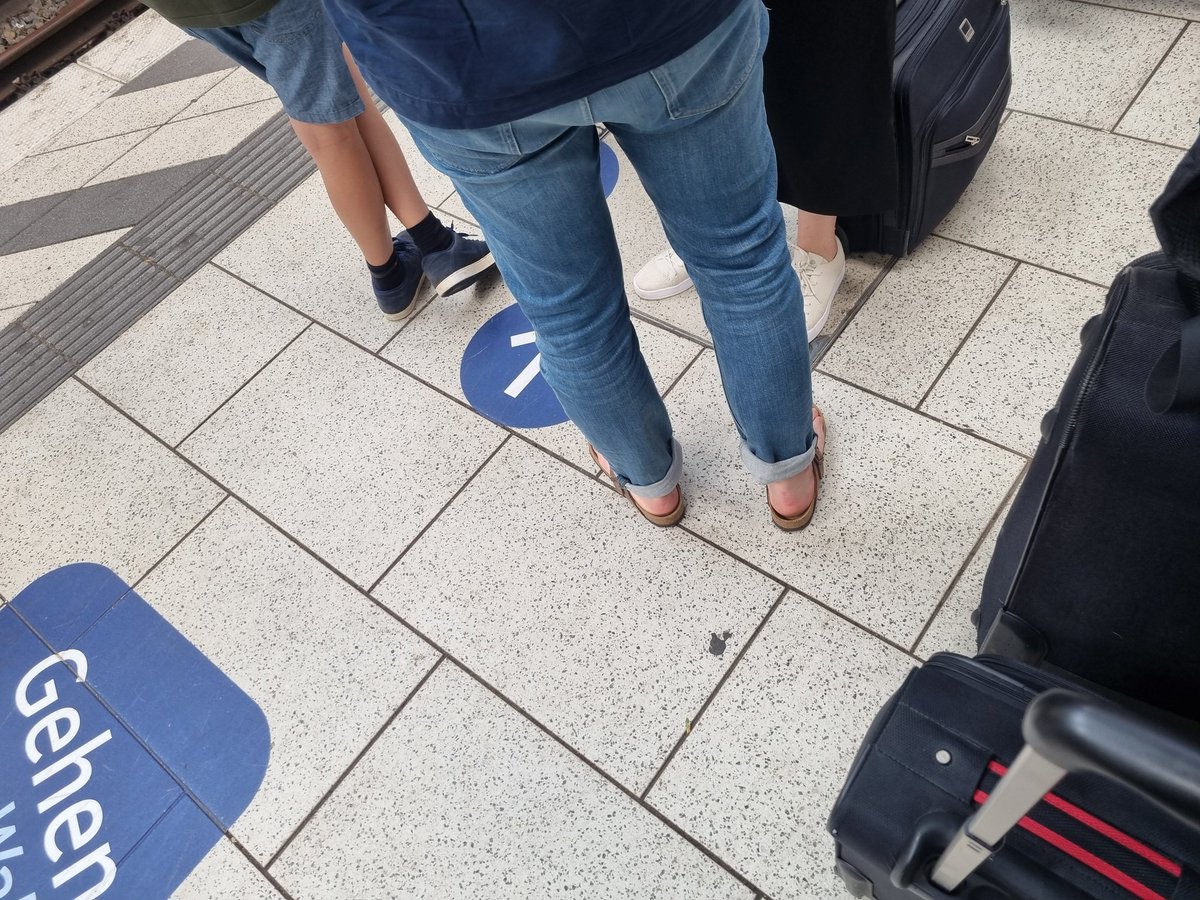 Unplüschige sind komisch. Da sacht man freundlich Bescheid, dass sie vielleicht (weil überfüllt) Platz auf der "Laufleiste" am Hbf machen soll. Wird man angemeckert:"Ich KANN lesen." 
Aber nicht handeln, liebe Reisende nach Zürich.