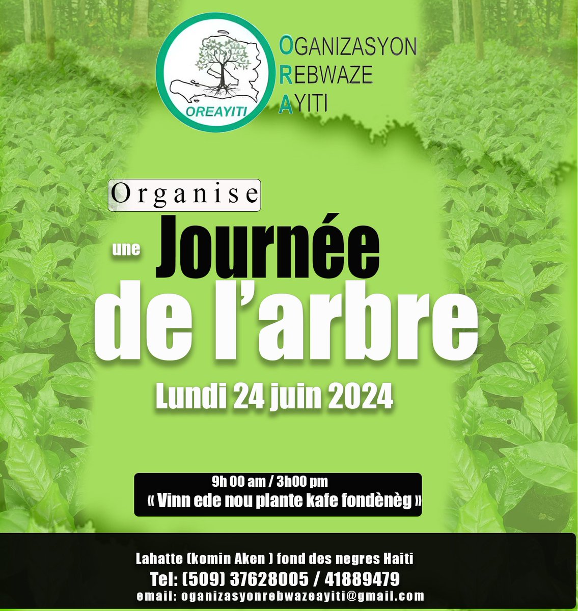 Jeanmichelc08's tweet photo. Oganizasyon Rebwaze Ayiti  (OREAYITI) vous invite à une journée de l'arbre le lundi 24 juin 2024 à Fond-des-Negres, localité Lahatte (komin Aken) de 9h à 3h pm.
"Vinn ede nou planté kafe".
@ConilleGarry 
@ambafranceht 
@USAID_Haiti 
@nesmymanigat 
@UEFAcom_fr https://t.co/zr66DvMlWg